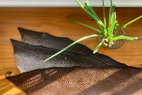 Three kinds of fish leather next to a plant