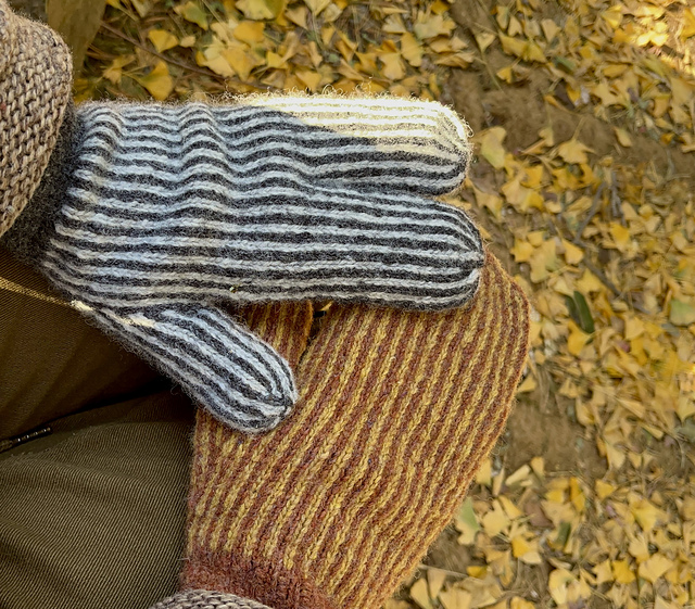 Calidum Mitts